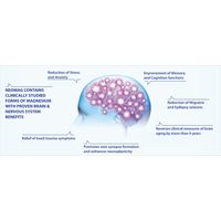 Neogenesis Neo-Mag Multi-Magnesium Complex